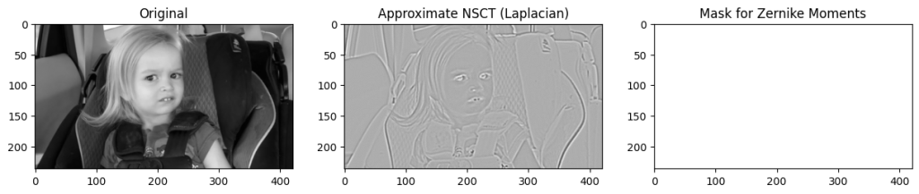 BRISK with Image Blobs Feature Extraction Methods on Side Eyeing Chloe