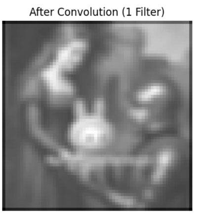 After Convolution (1 Filter)